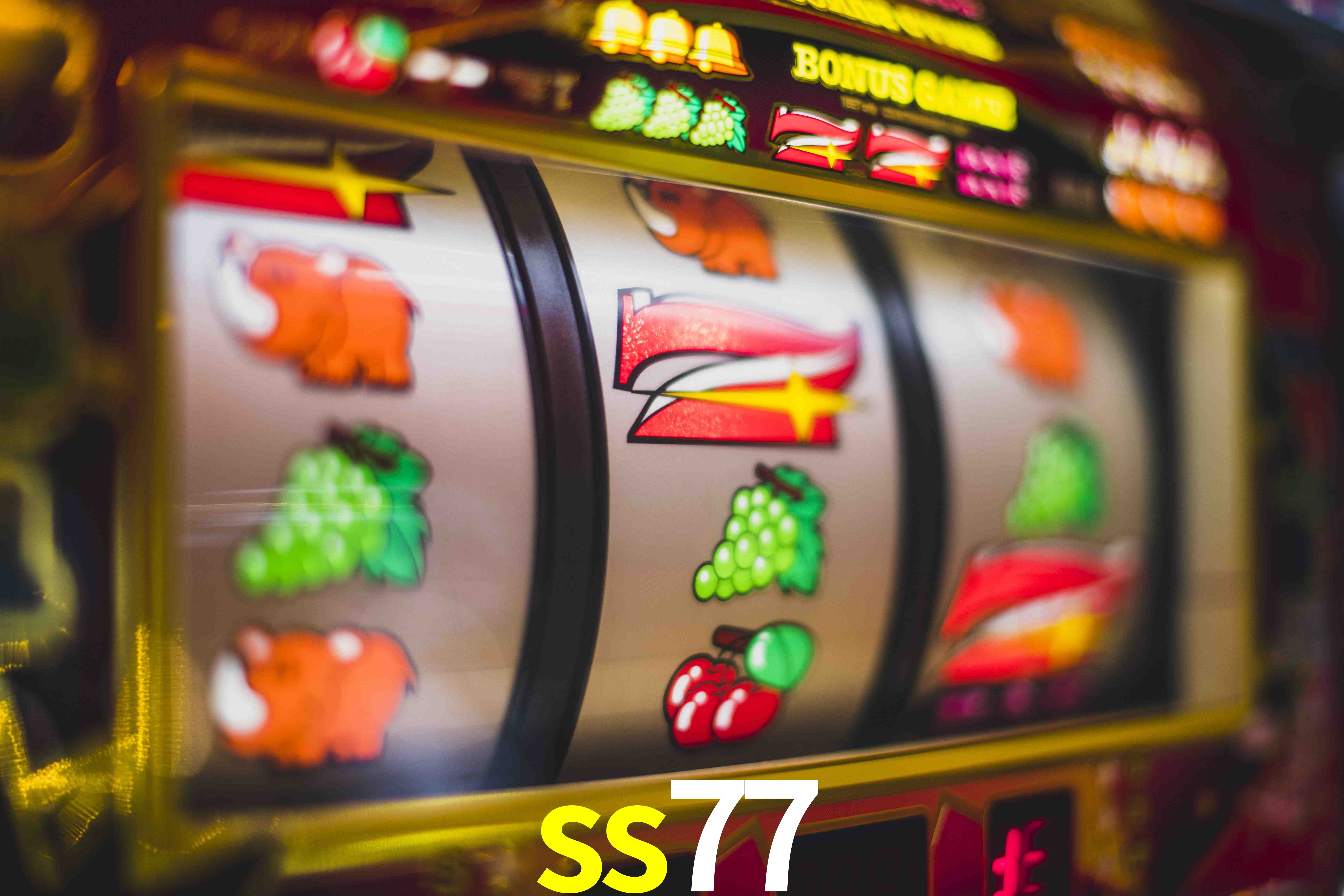 Basketball Betting ss77